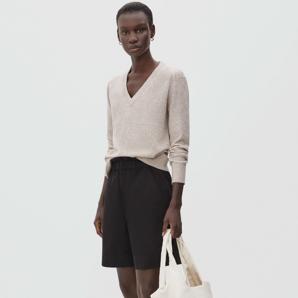 Everlane Cashmere V-Neck